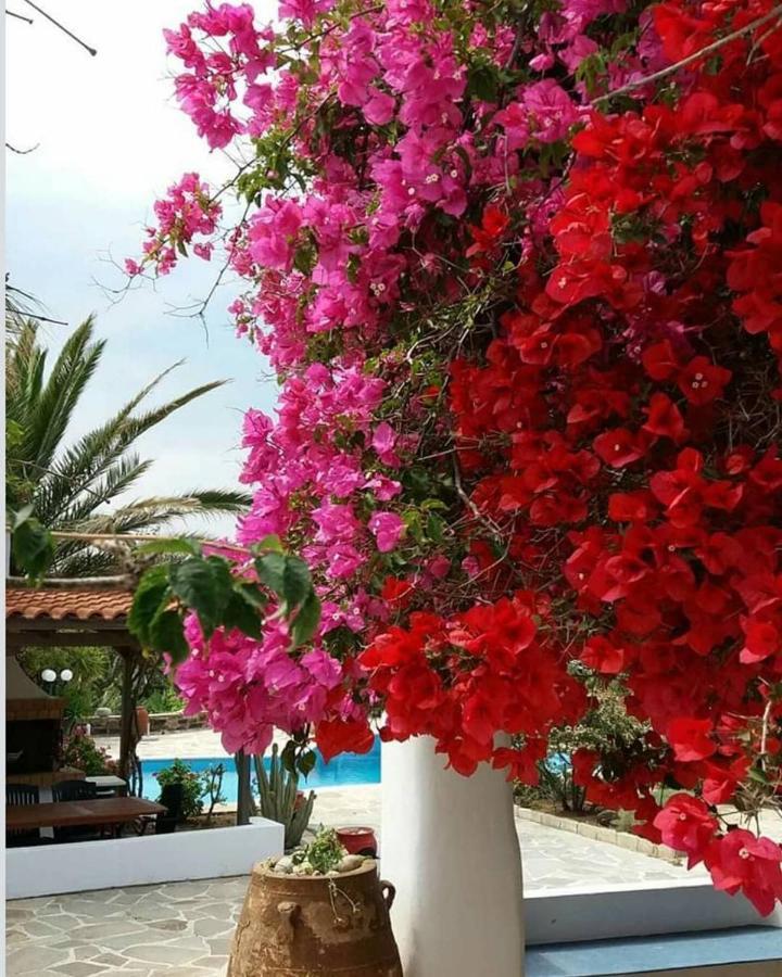 Villa Pari Manda Agios Prokopios  Exteriör bild
