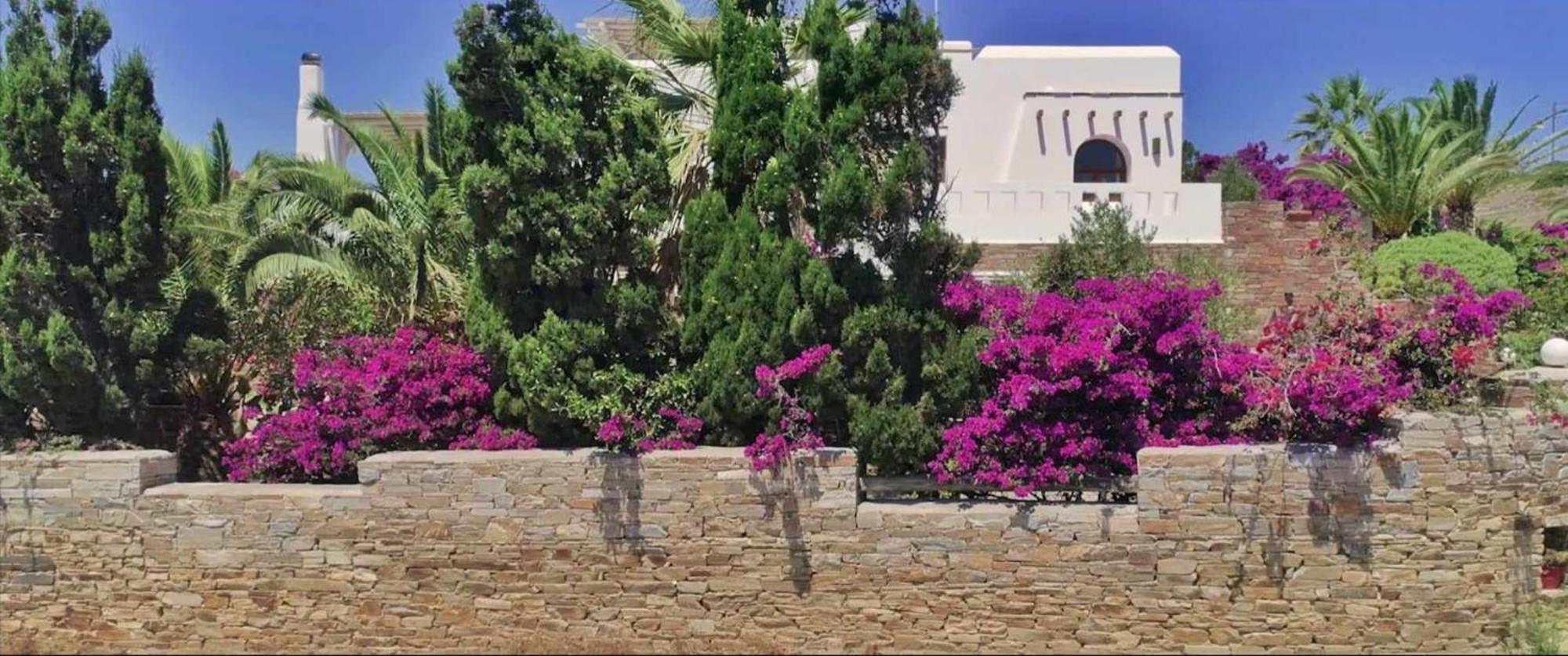 Villa Pari Manda Agios Prokopios  Exteriör bild